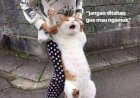 PERCAYA DIRI