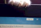 Mandeg