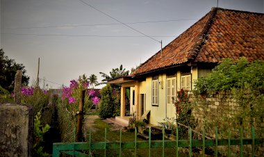 Menjenguk Mamak