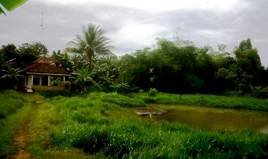 Surau Kecil di Kampung Kami