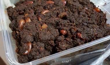 RENDANG ETEK DEVINA