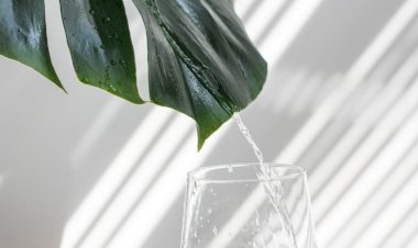 The Glass of Life