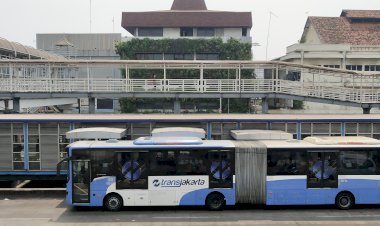 IBU HAMIL?