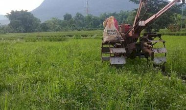 Ardi Pawitra