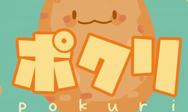 Pokuri