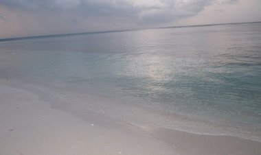 Sekali lagi