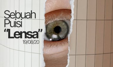 LENSA