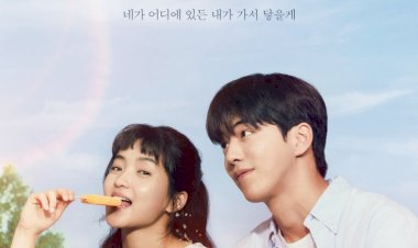 REVIEW FILM 