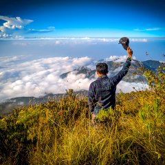 Tri sumarno