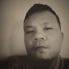 badiarajasimbolon